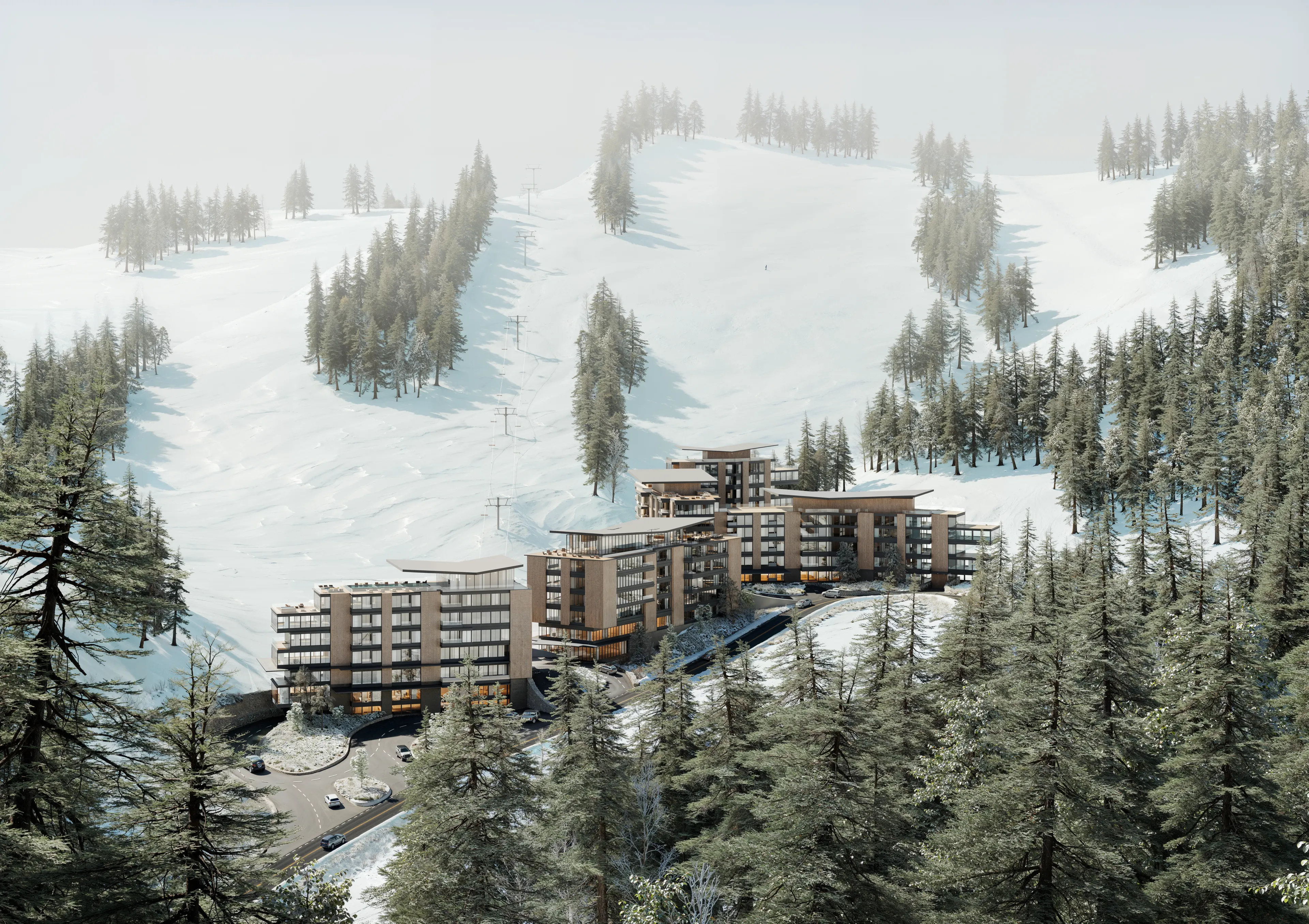 The arrival from above, snow coming in
