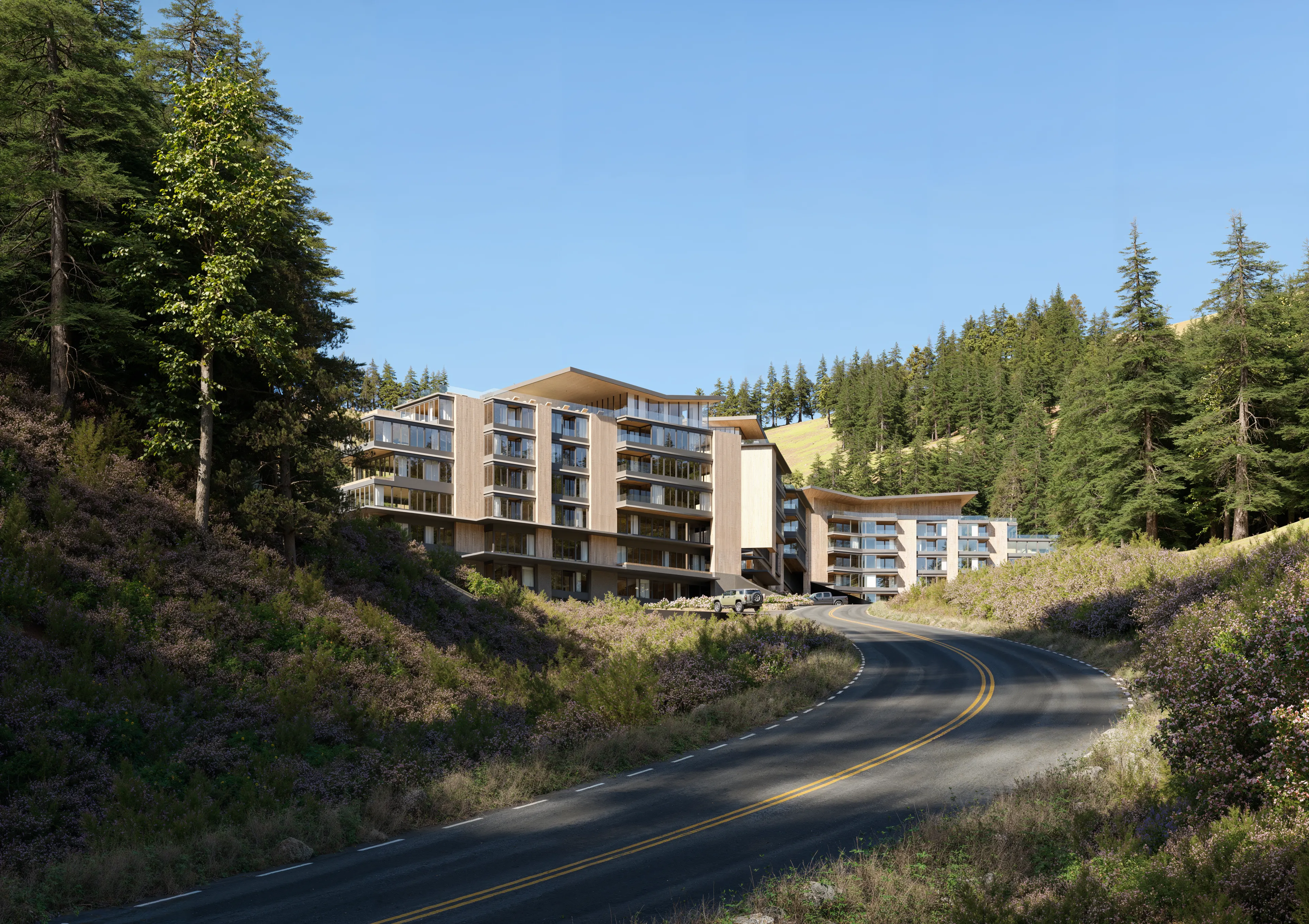 The same road in summer